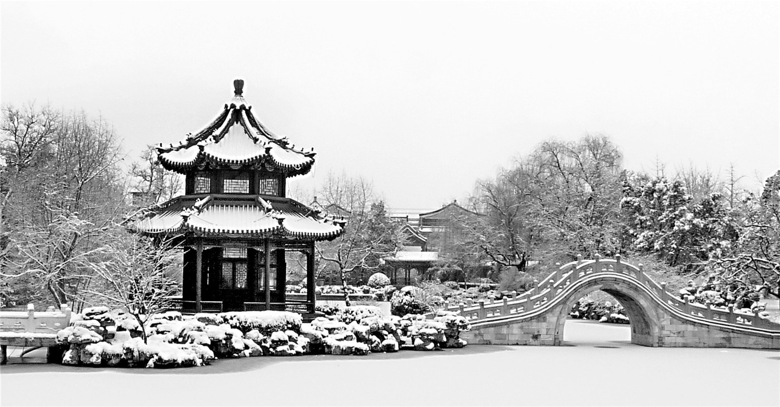 《莲池瑞雪》  张清